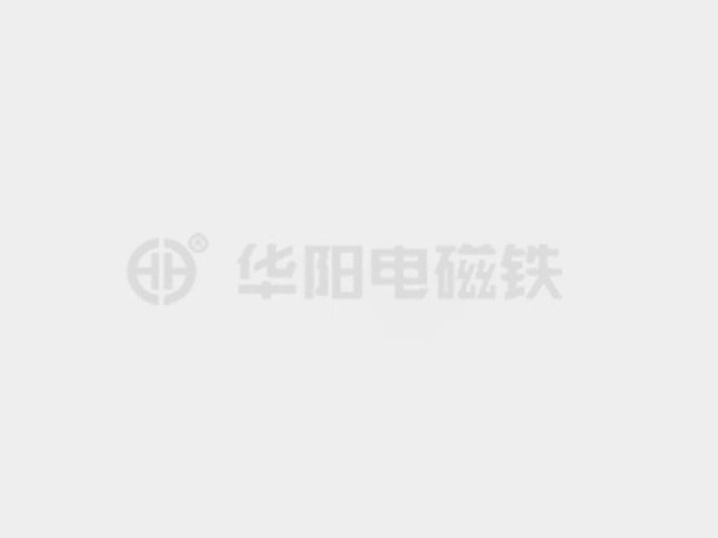 操逼出水防爆电磁铁的储存和维护较佳实践！